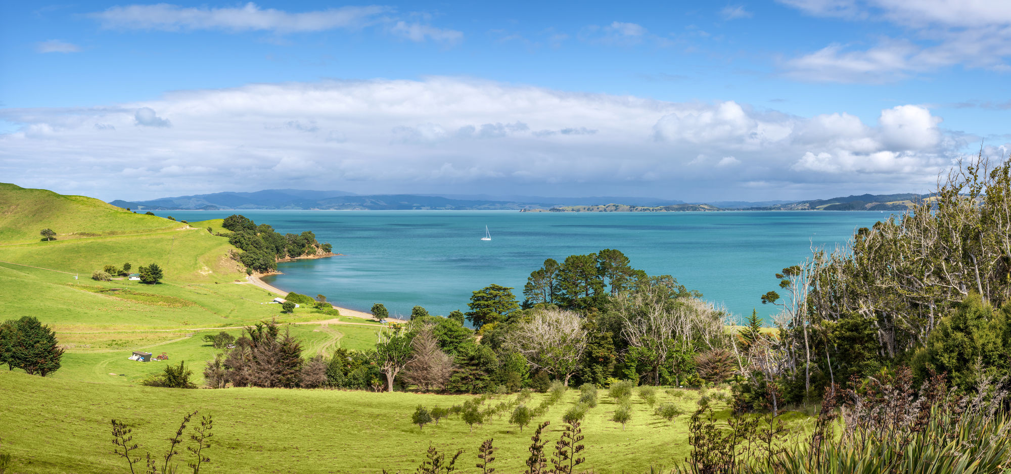 Woodside Bay Cottage Rocky Bay Exterior foto